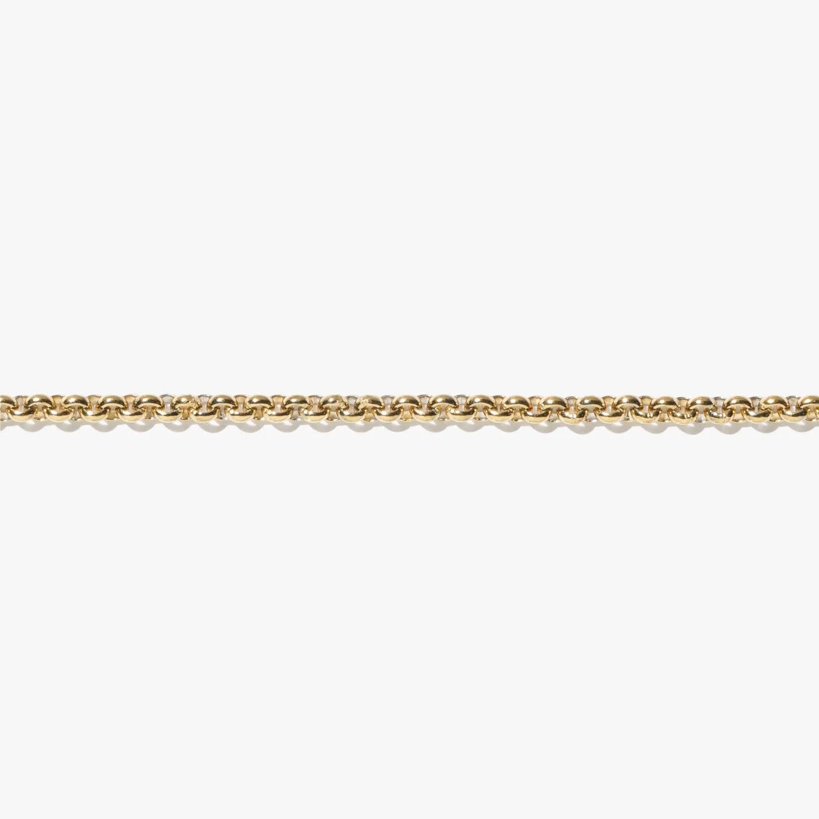 Thick Rolo Anklet